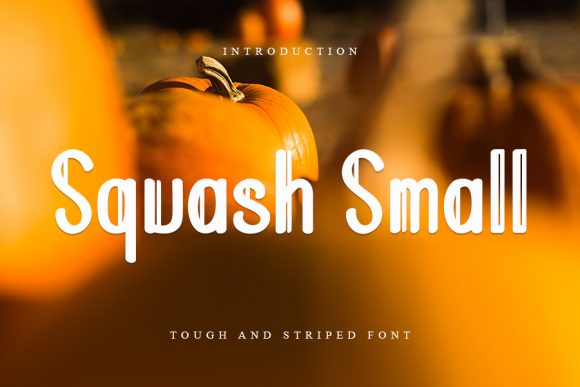 Squash Small: A Trendy Display Font for Handmade Brands