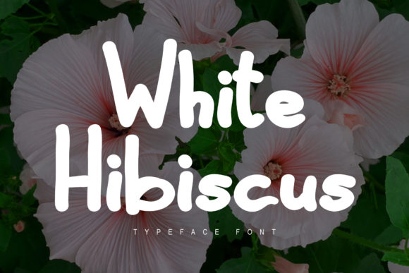 White Hibiscus Font